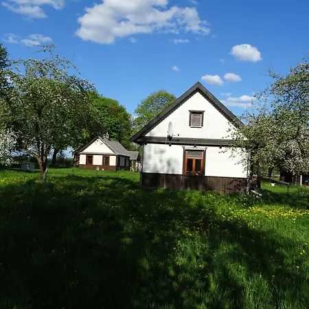Jastrzebie Katy Gospodarstwo Rolne Wisniew Exterior photo