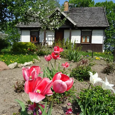 Jastrzebie Katy Gospodarstwo Rolne Wisniew Exterior photo