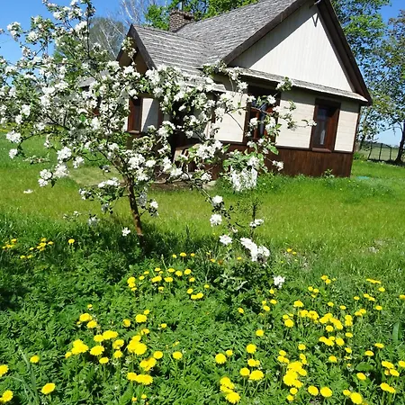 Jastrzebie Katy Gospodarstwo Rolne Wisniew Exterior photo